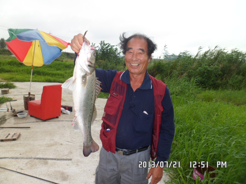 SAM_4953.JPG