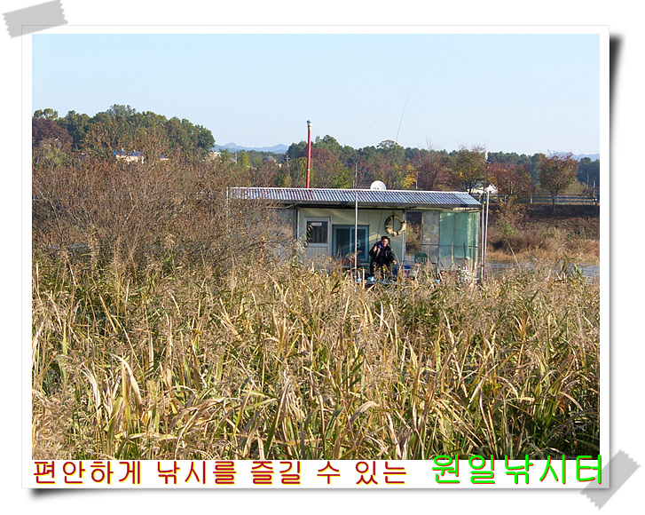 SH107303.jpg