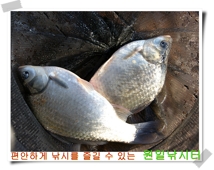 SH107309.jpg