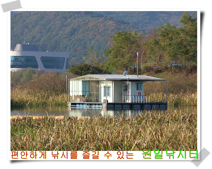 SH107315.jpg