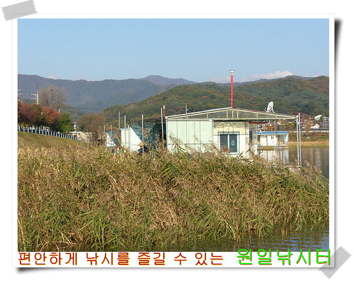 SH107305.jpg