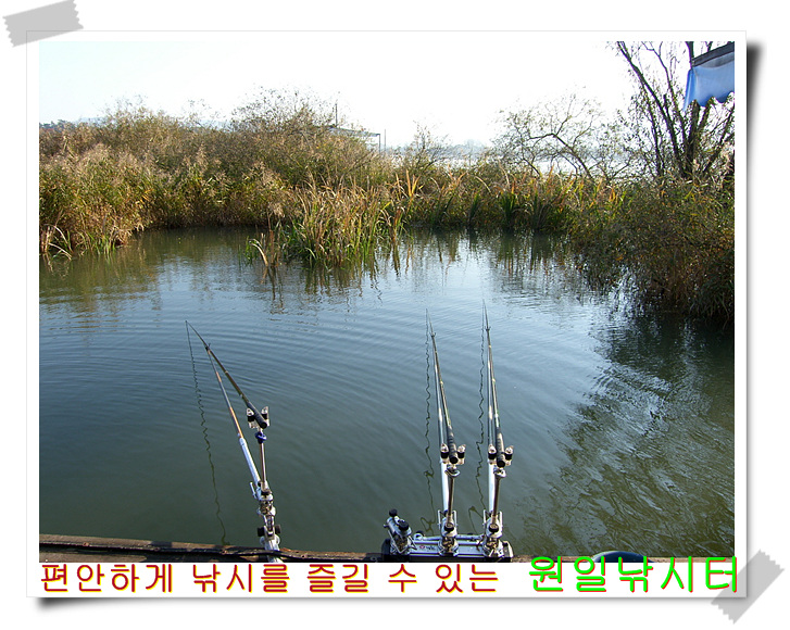 SH107310.jpg