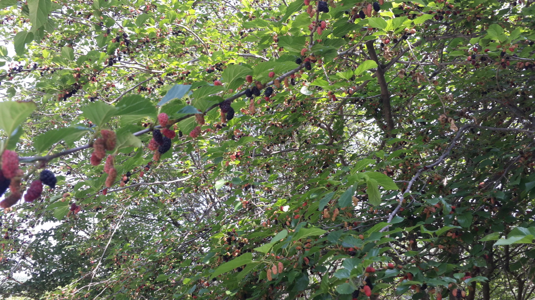 2014.04.2620.jpg