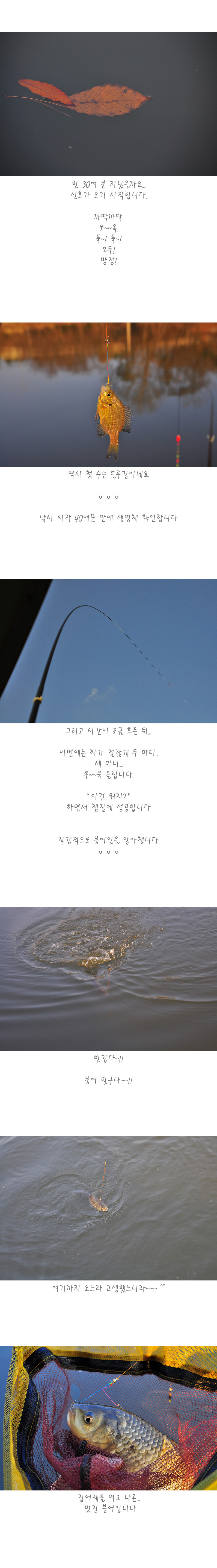 반제지 - 05.jpg