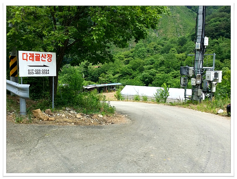 떡사랑 이미지