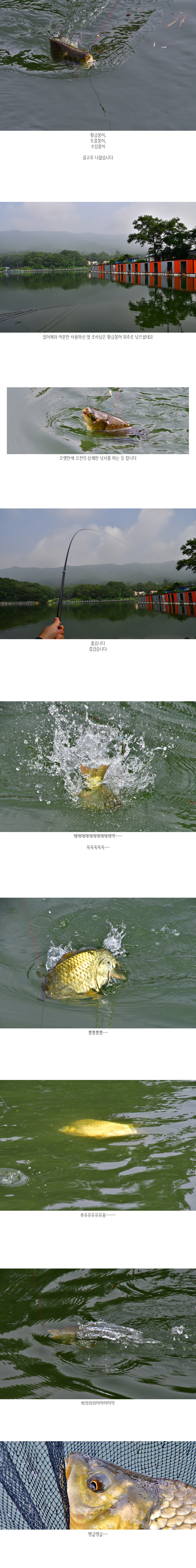 초원낚시터 08.jpg