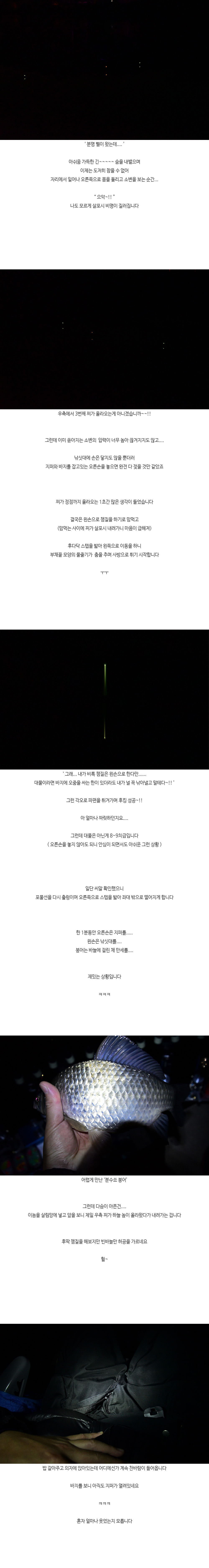 분수쑈 붕어 3.jpg