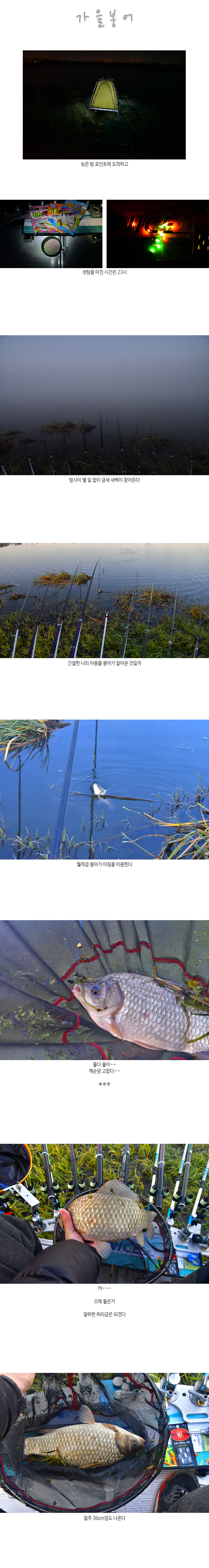 가을붕어 1.jpg
