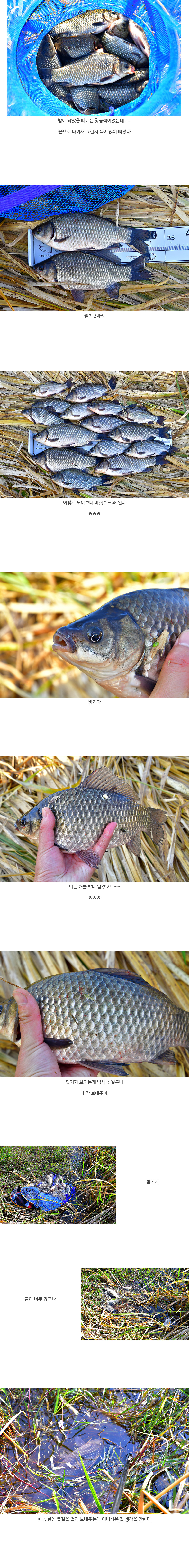 연밭 둠벙 5.jpg
