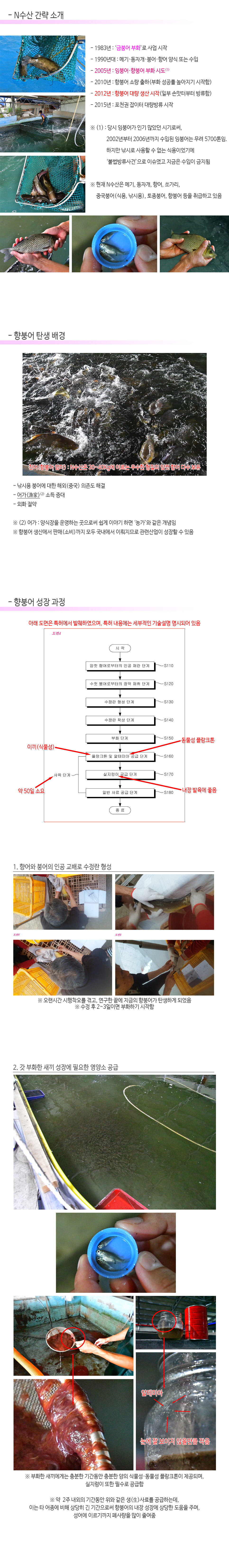 향붕어 - 2.jpg