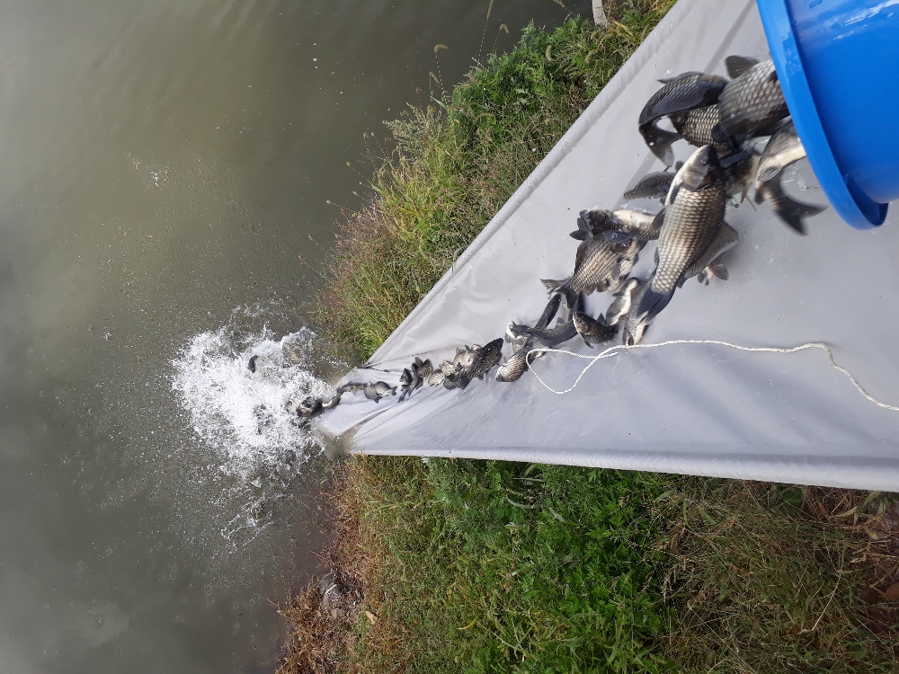 20181008_100236.jpg
