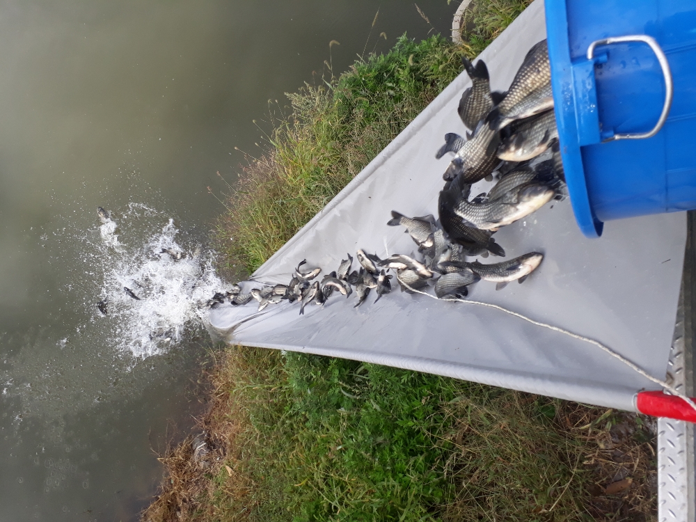 20181008_100415.jpg