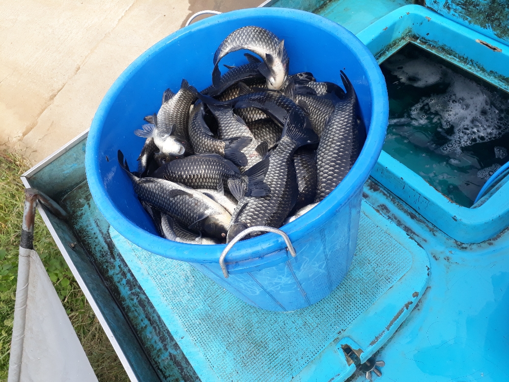 20181009_105455.jpg