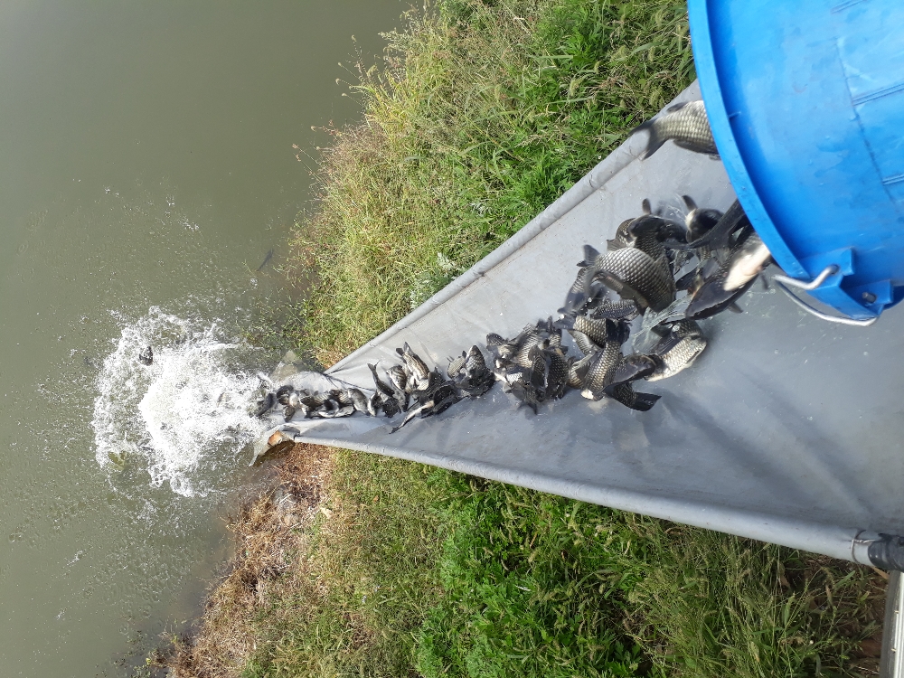 20181009_105504.jpg
