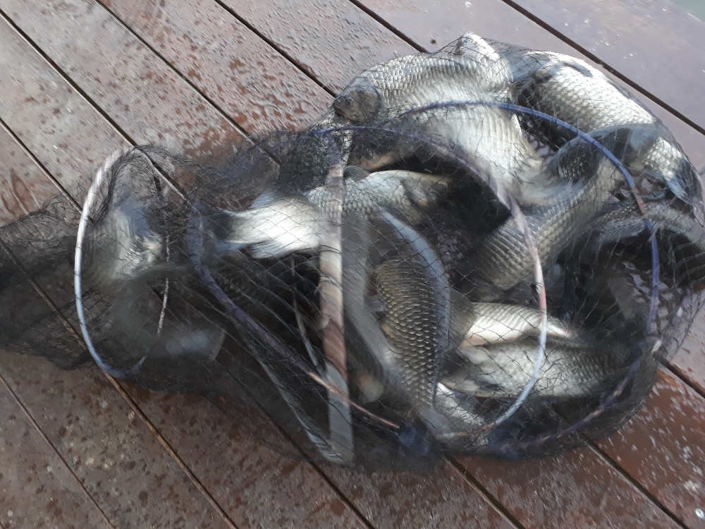 20181009_165945.jpg