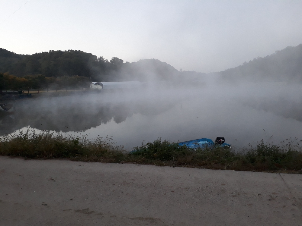 20181012_062833.jpg