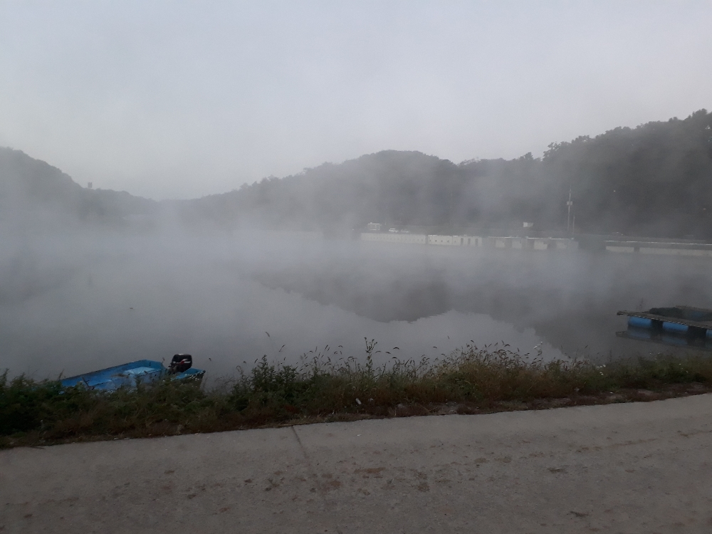 20181012_062839.jpg