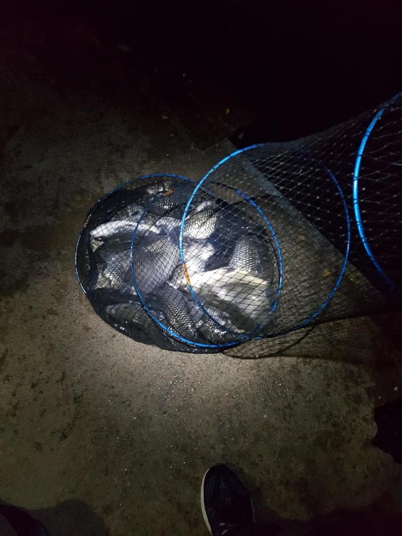 Resized_20181009_014537_2377.jpeg