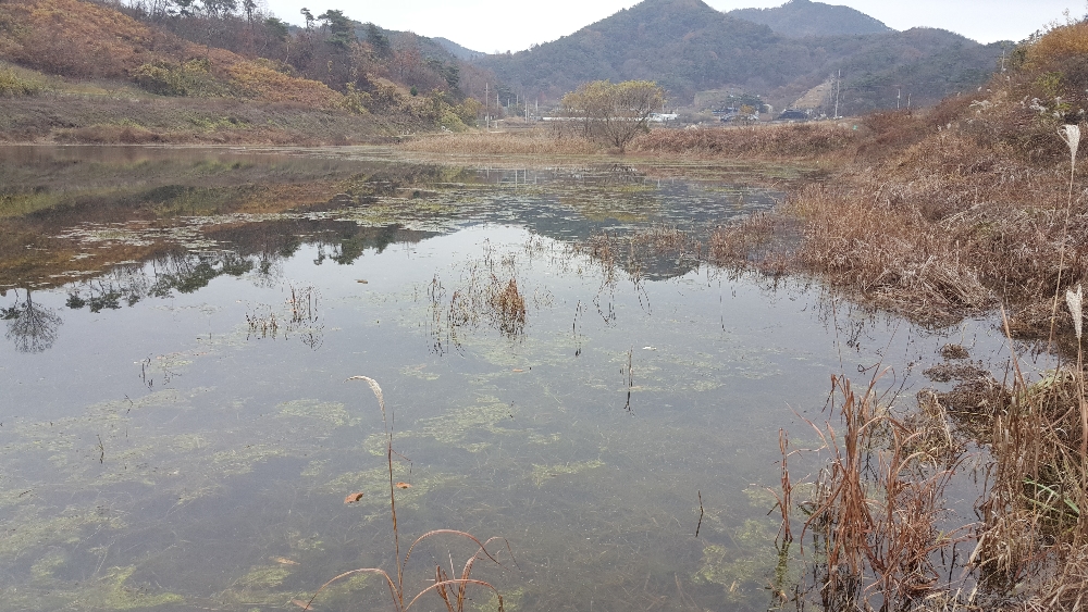 20181118_102931.jpg
