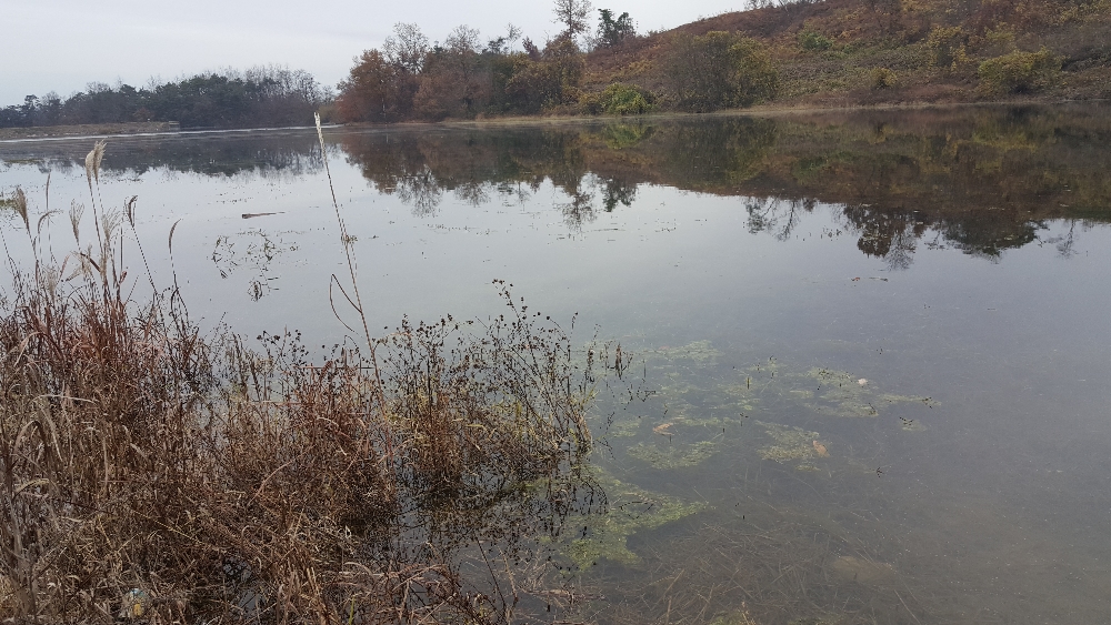 20181118_102944.jpg