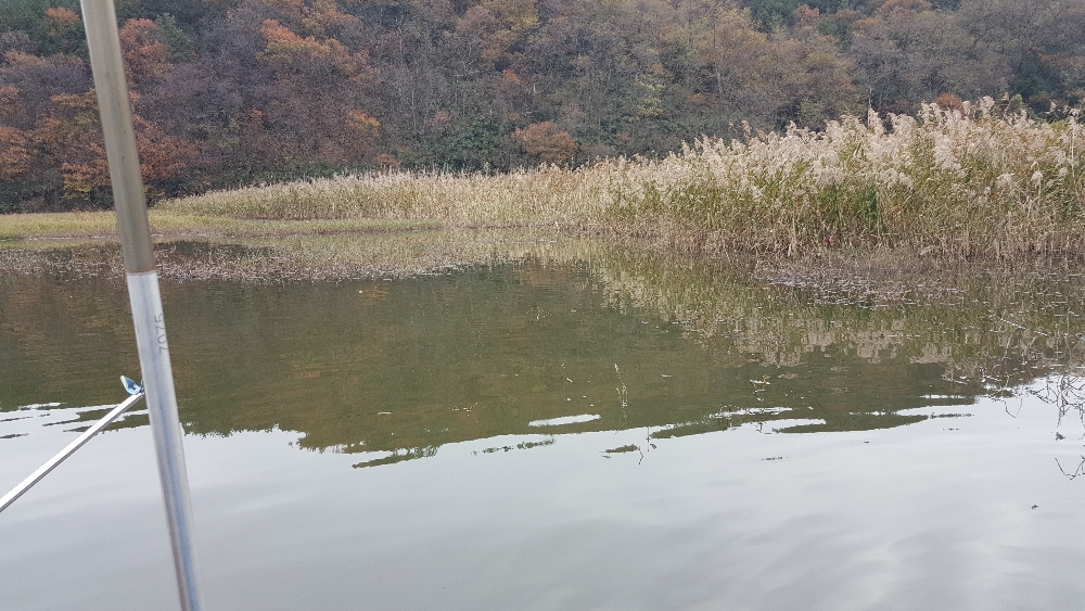 20181118_145156.jpg