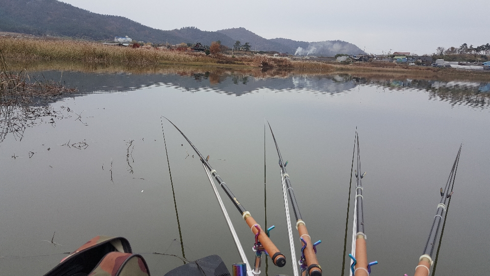 20181118_154428.jpg