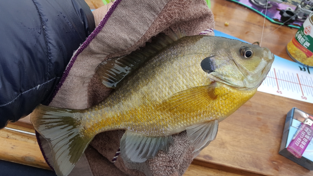 20181118_155831.jpg