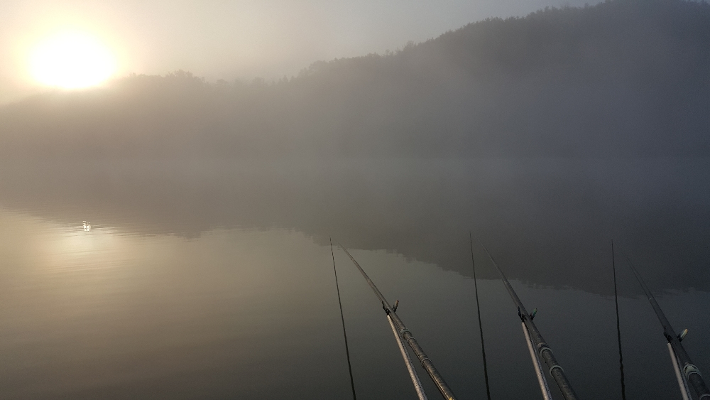 20181120_075251.jpg