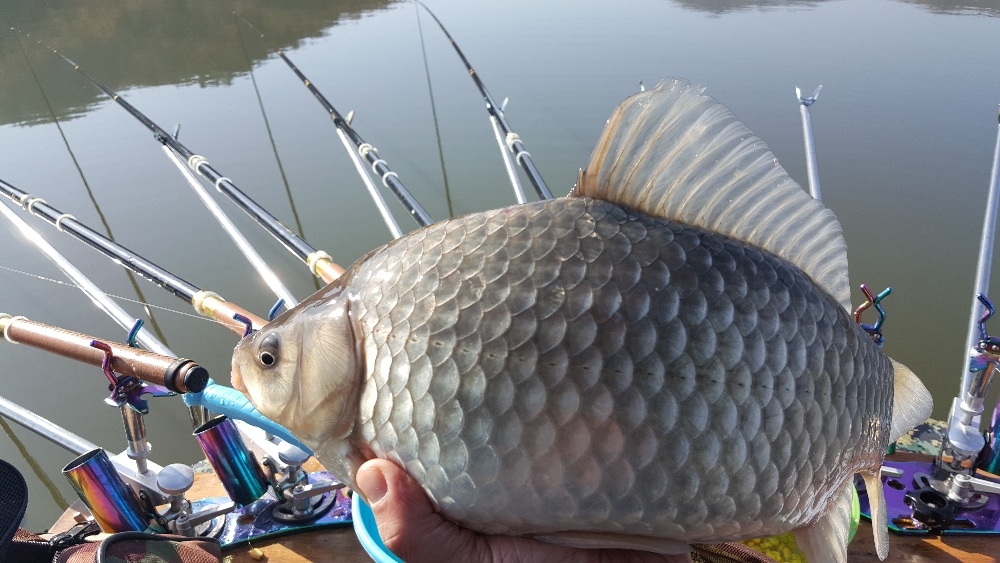 20181120_101849.jpg