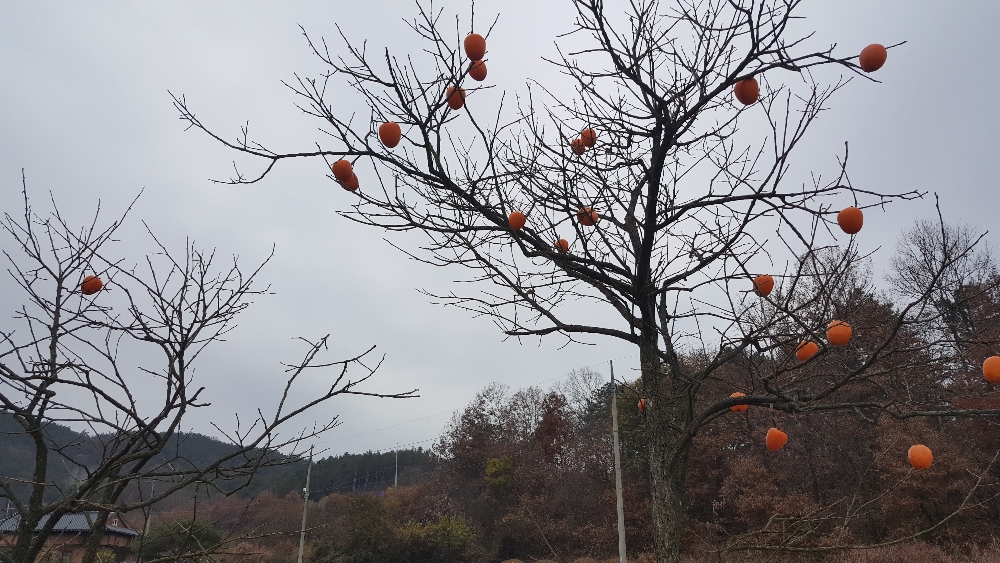 20181118_103257.jpg