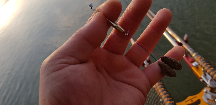 20181231_164409.jpg