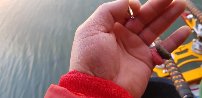 20181231_170623.jpg
