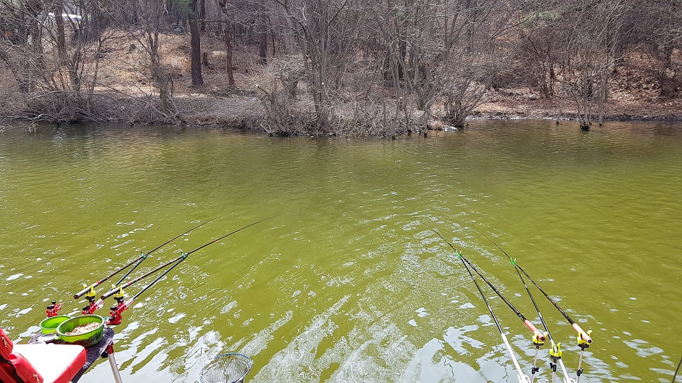 20190309_131449.jpg