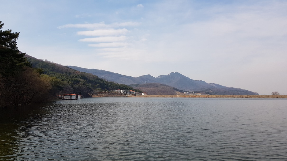 20190309_131511.jpg