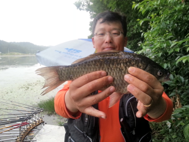 20130630_053728.jpg