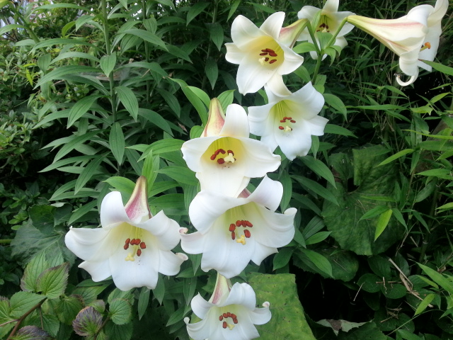 20130629_171352.jpg