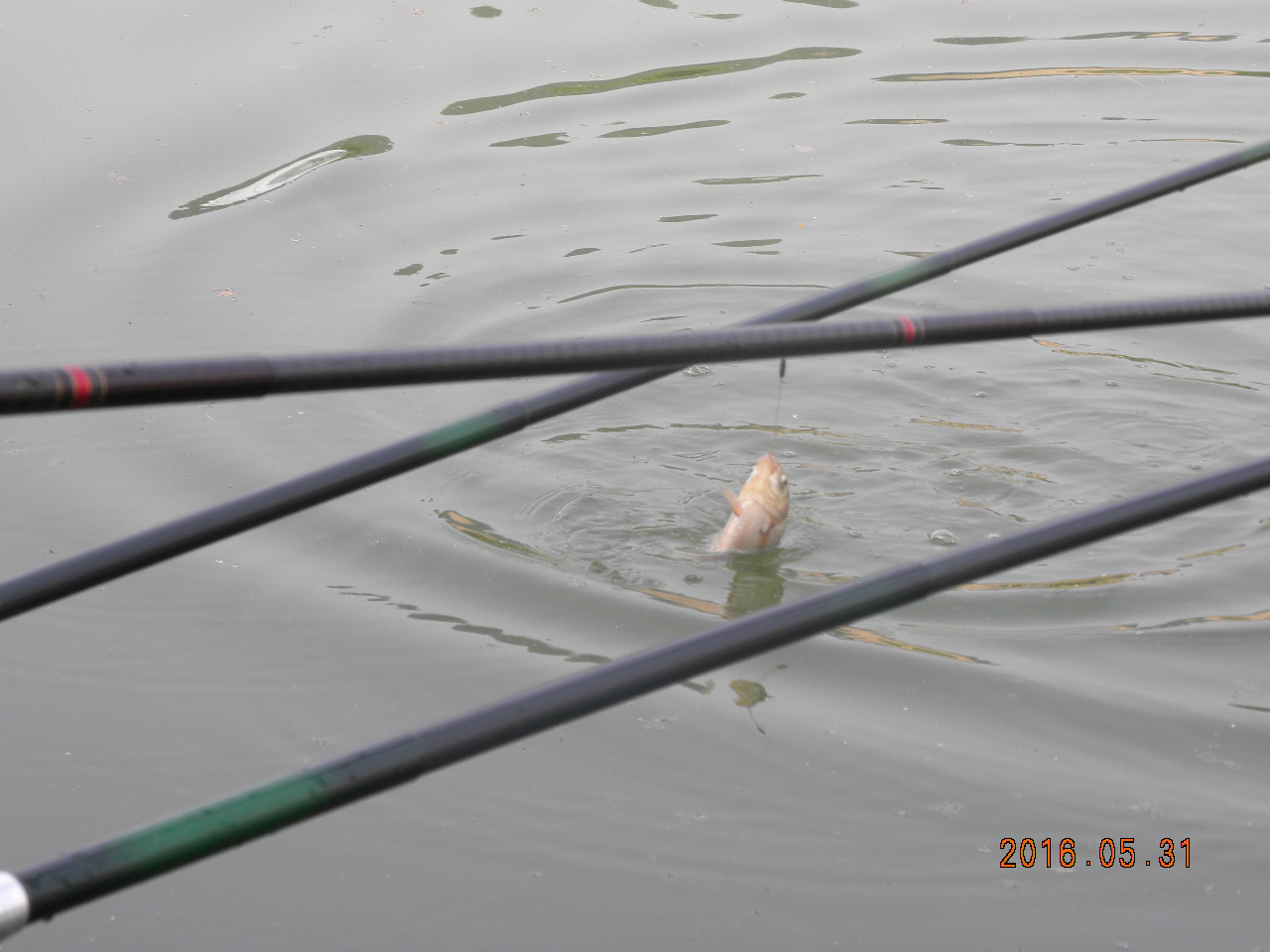 DSCN3707.JPG
