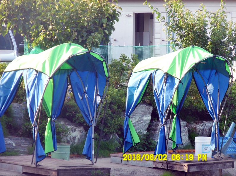 62 1 012.JPG