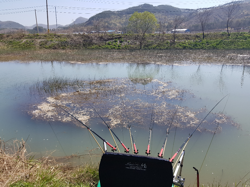 20180418_095552.jpg