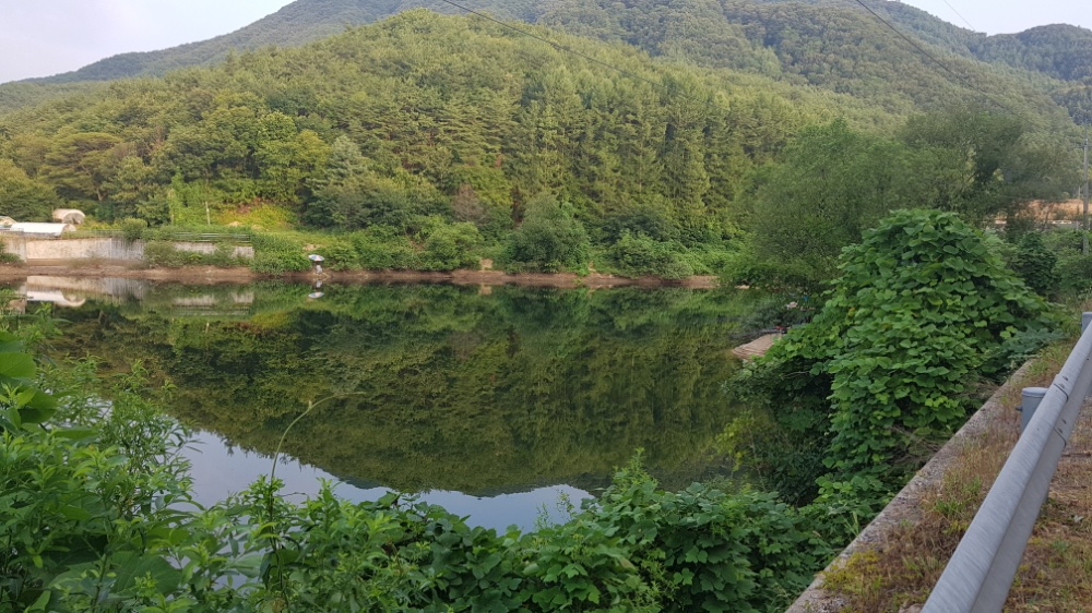 20180803_065531.jpg