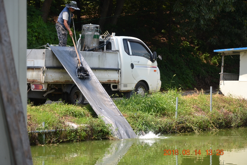 DSC_0004.JPG