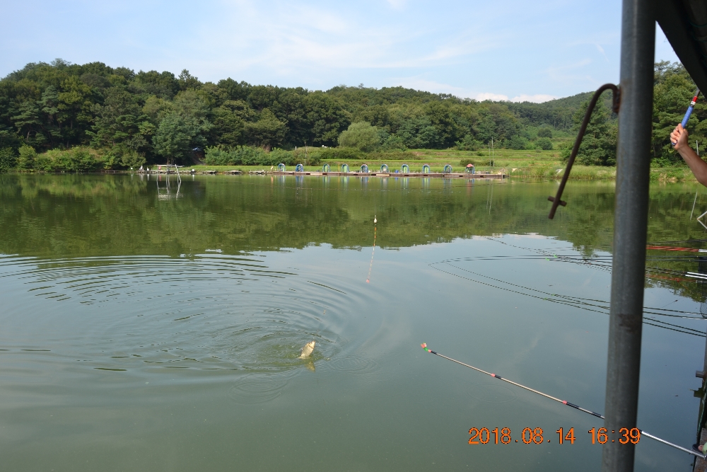 DSC_0015.JPG