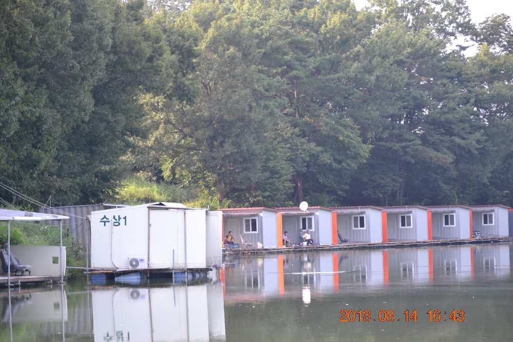 DSC_0016.JPG