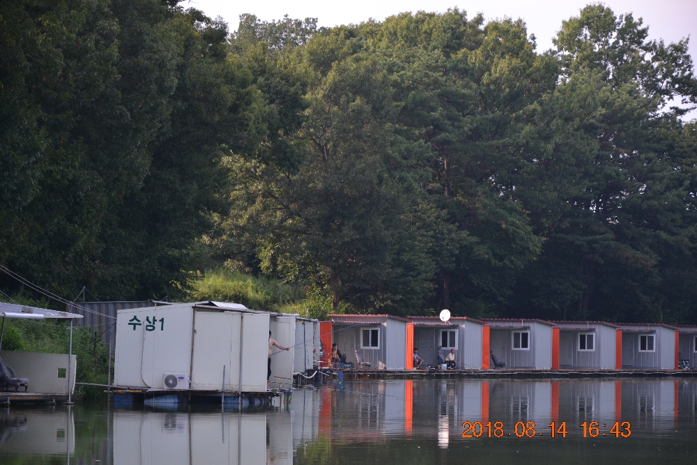 DSC_0017.JPG