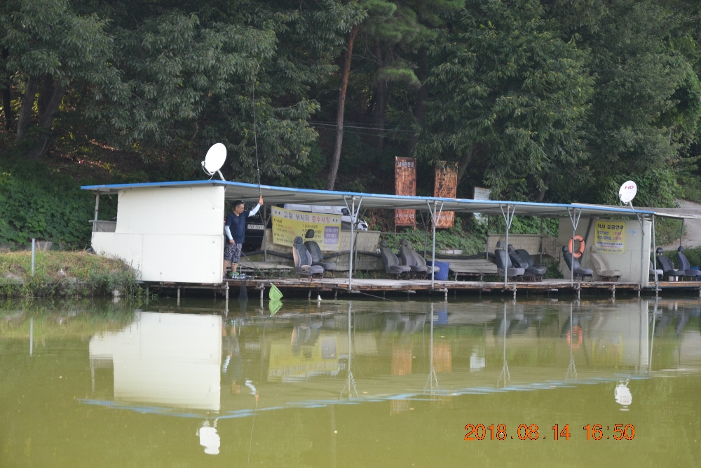 DSC_0019.JPG