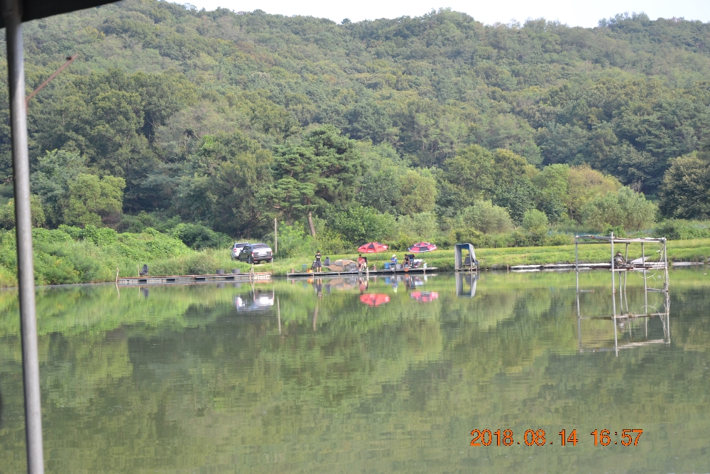 DSC_0022.JPG