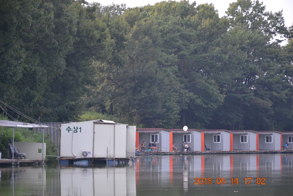 DSC_0026.JPG