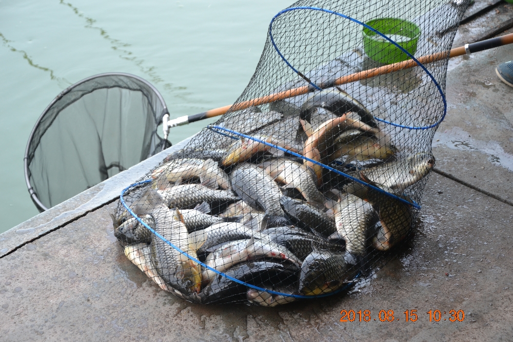 DSC_0052.JPG