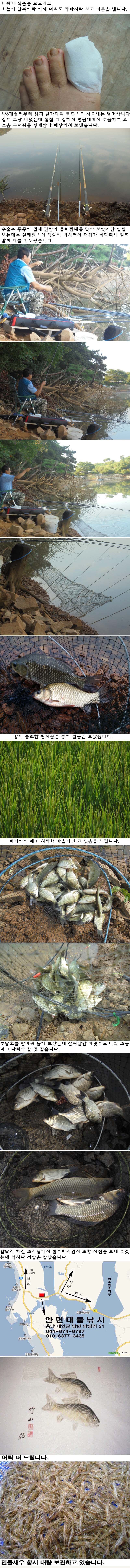 180816.jpg