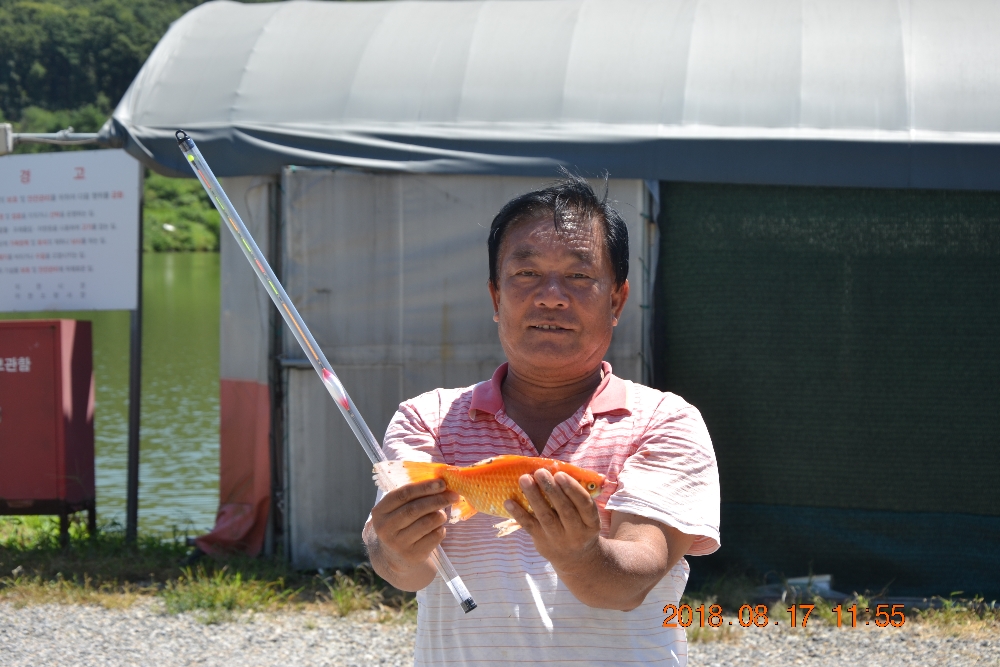 DSC_0012.JPG